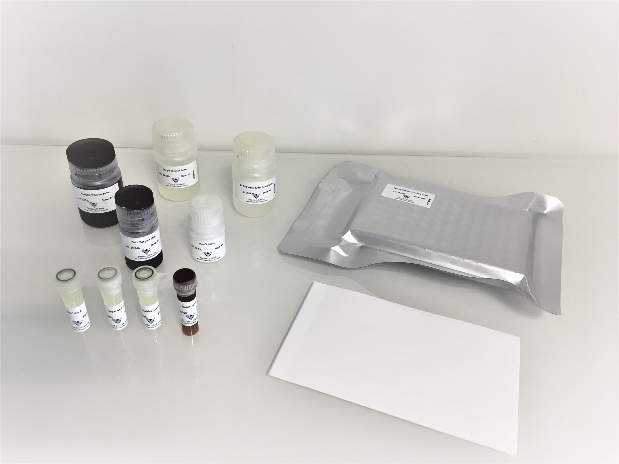 details_kit_svnt-scaled-1.jpg