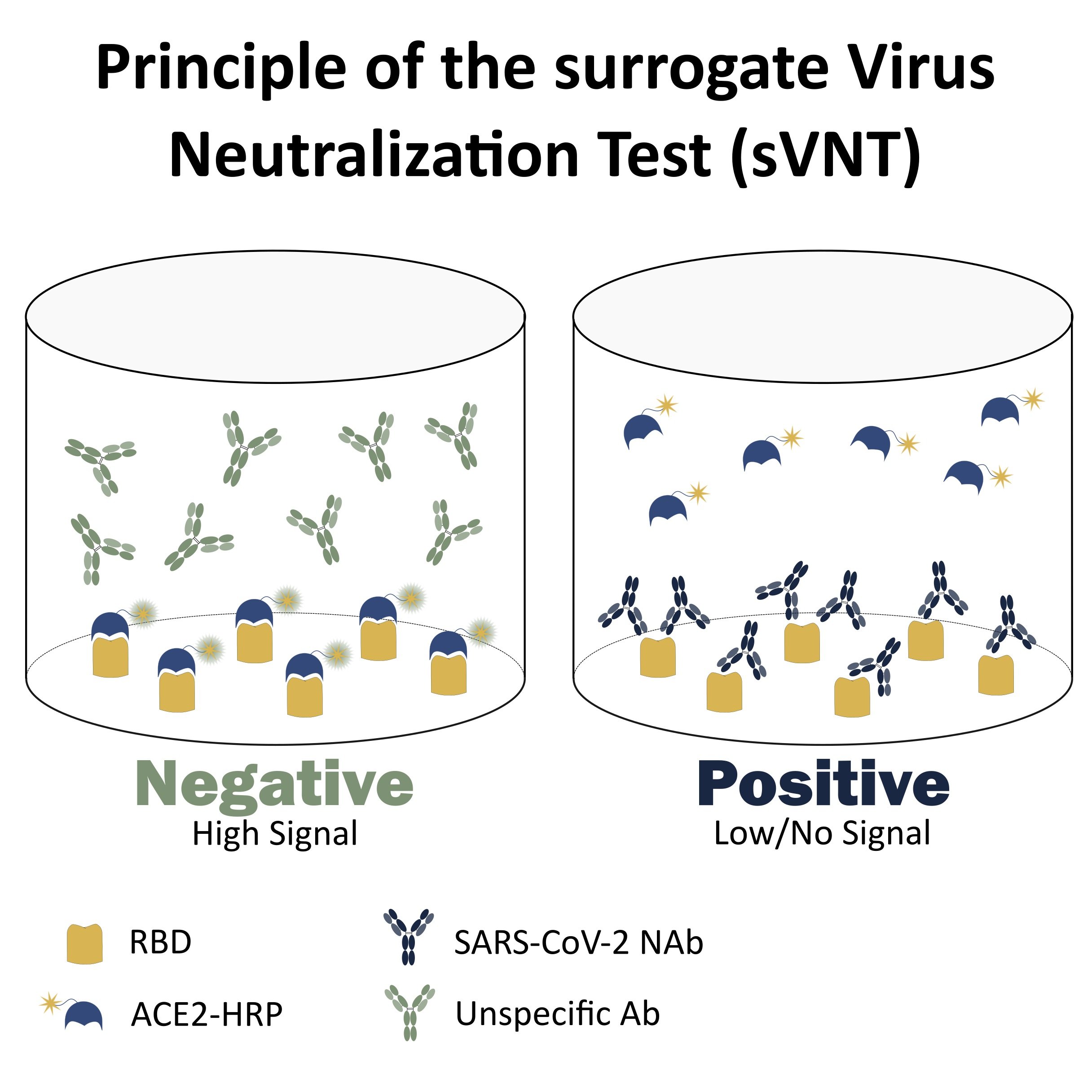 image2_sVNT_test_principle3.jpg