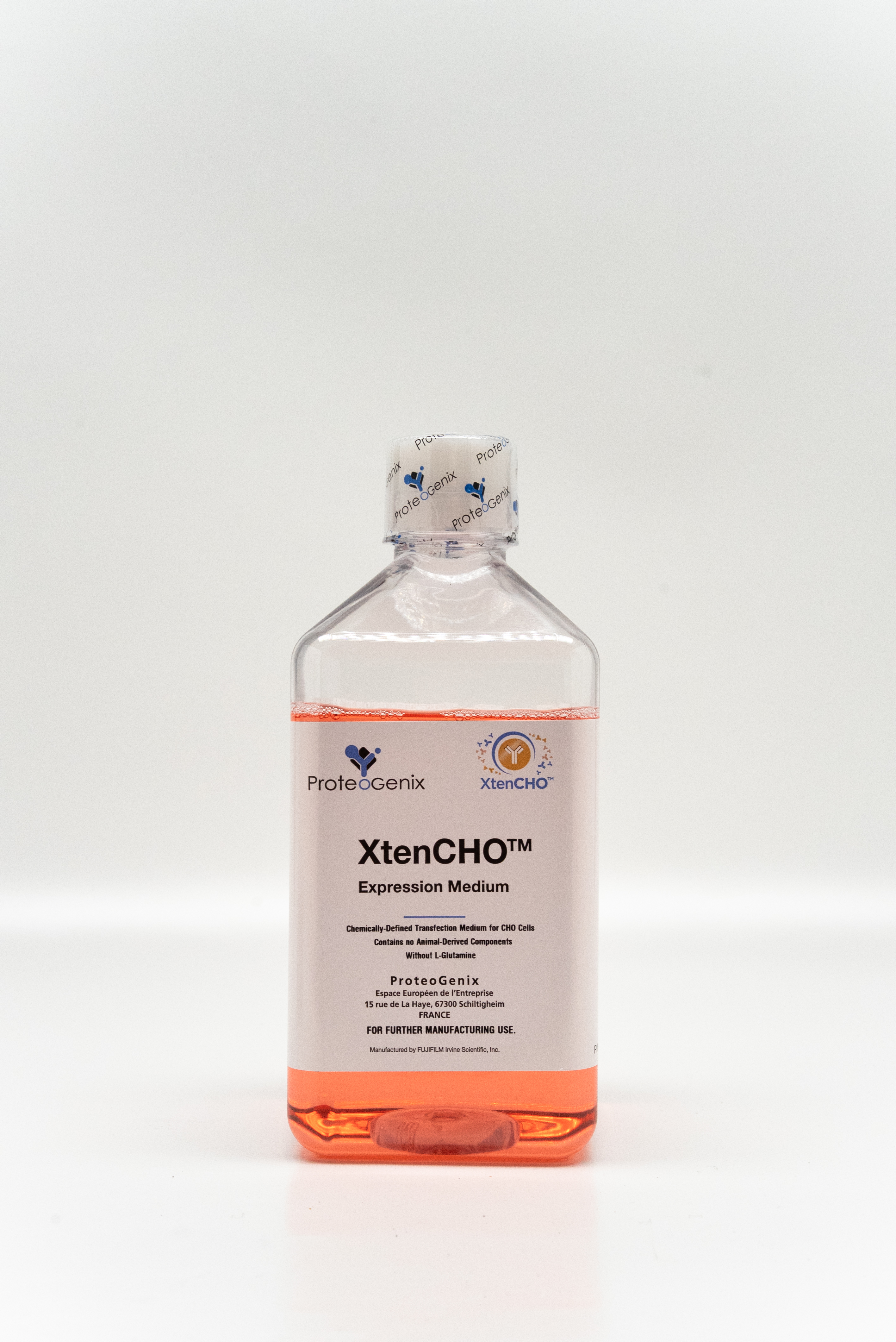 xtenchorace_2025-7.jpg