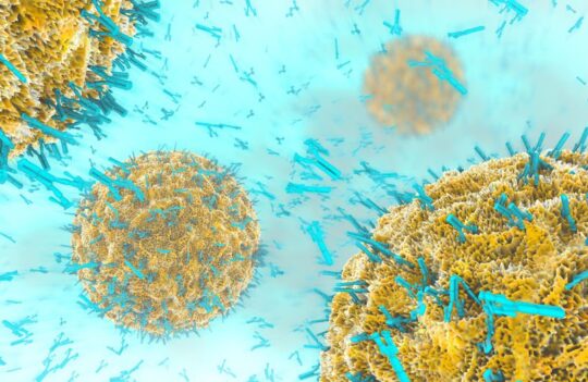 Polyclonal vs. monoclonal: how to choose the best antibodies for your project?