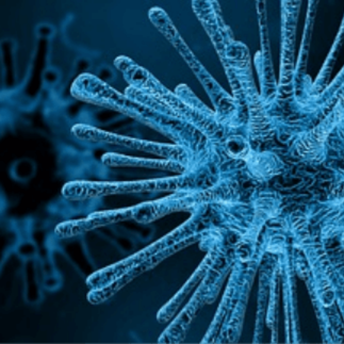 Peptide vaccines