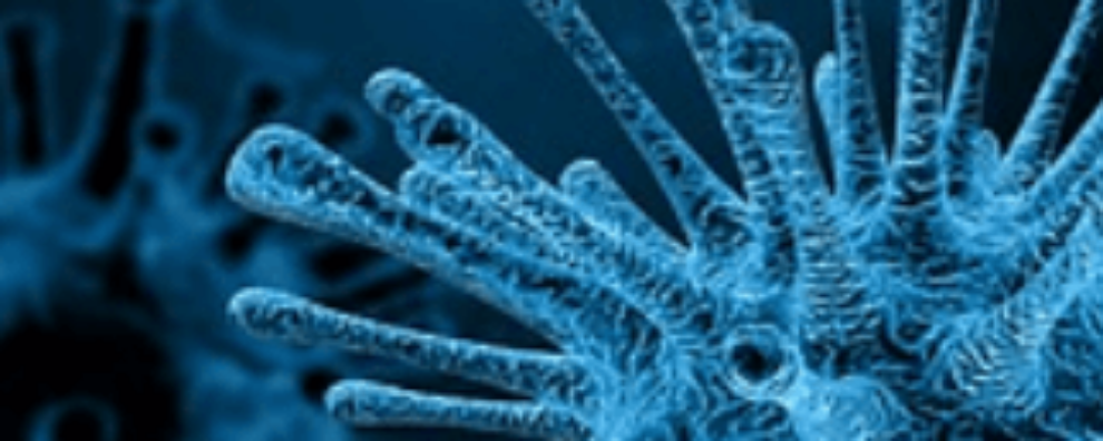 Are peptide vaccines providing a safer and more cost-effective alternative to conventional vaccines in protecting against life-threatening and chronic diseases?