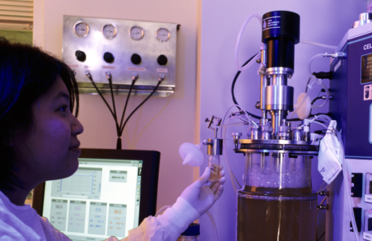 Antibody production: cells and engineering approaches for therapeutic applications