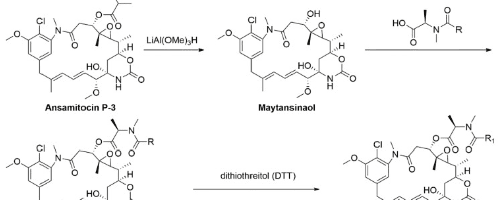 Tubulin inhibitors as payloads of ADCs