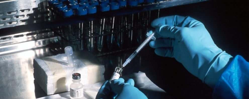 Antibody-drug conjugates: Antibody design and conjugation