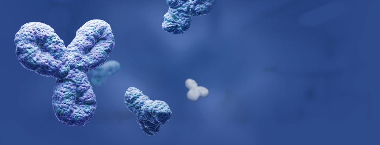 antibodies