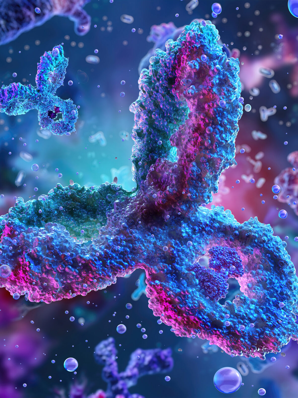 Antibody