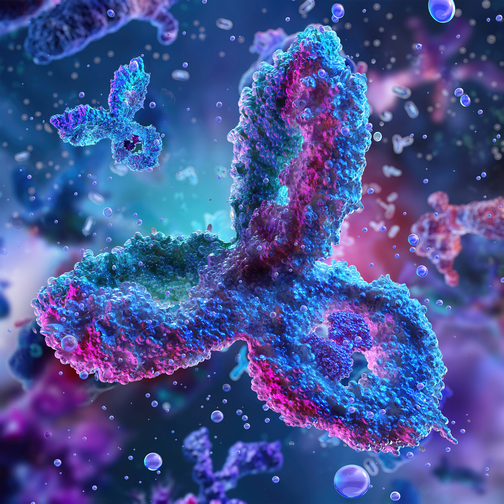 Antibody