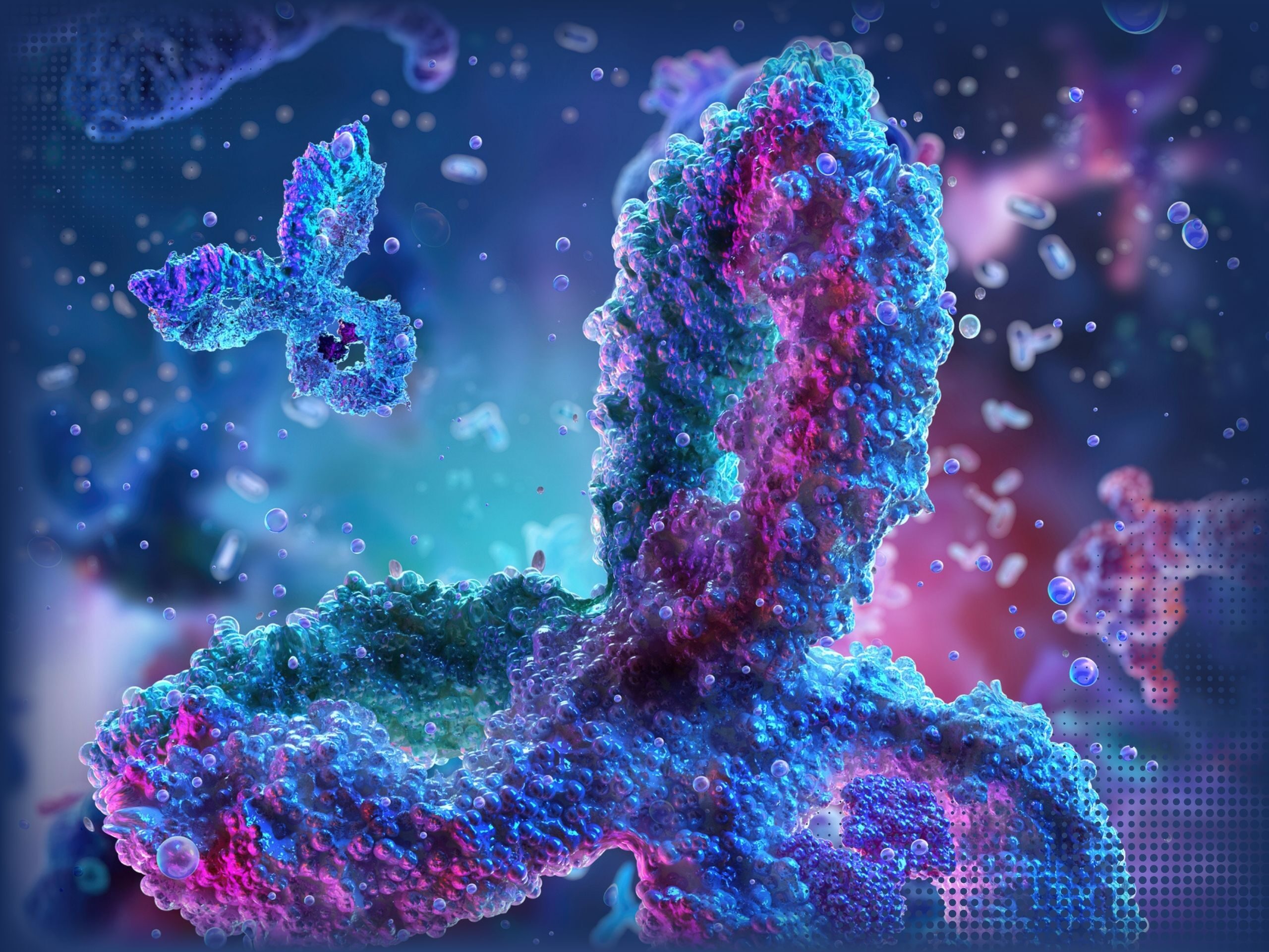Antibody
