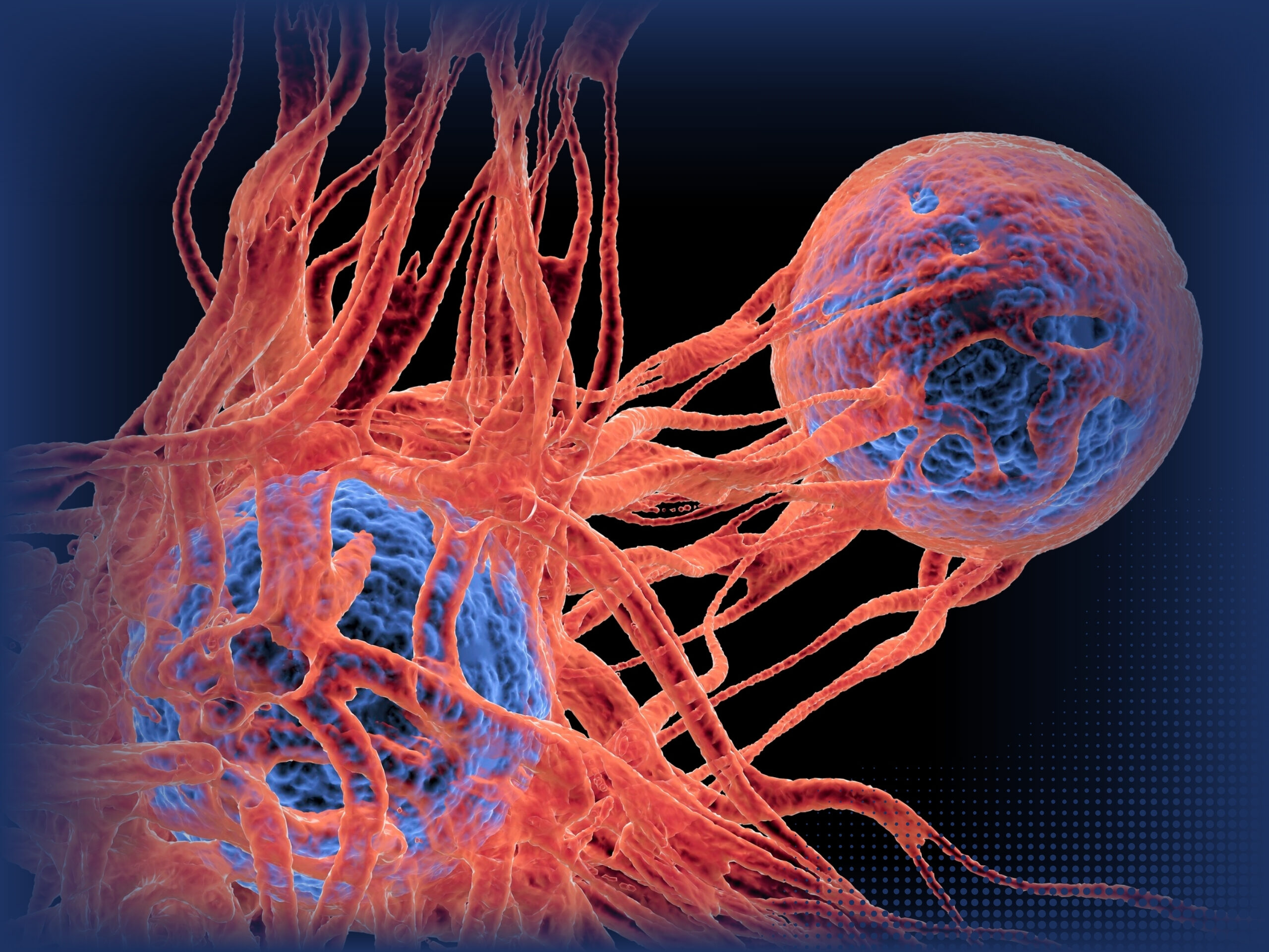 cancer cells