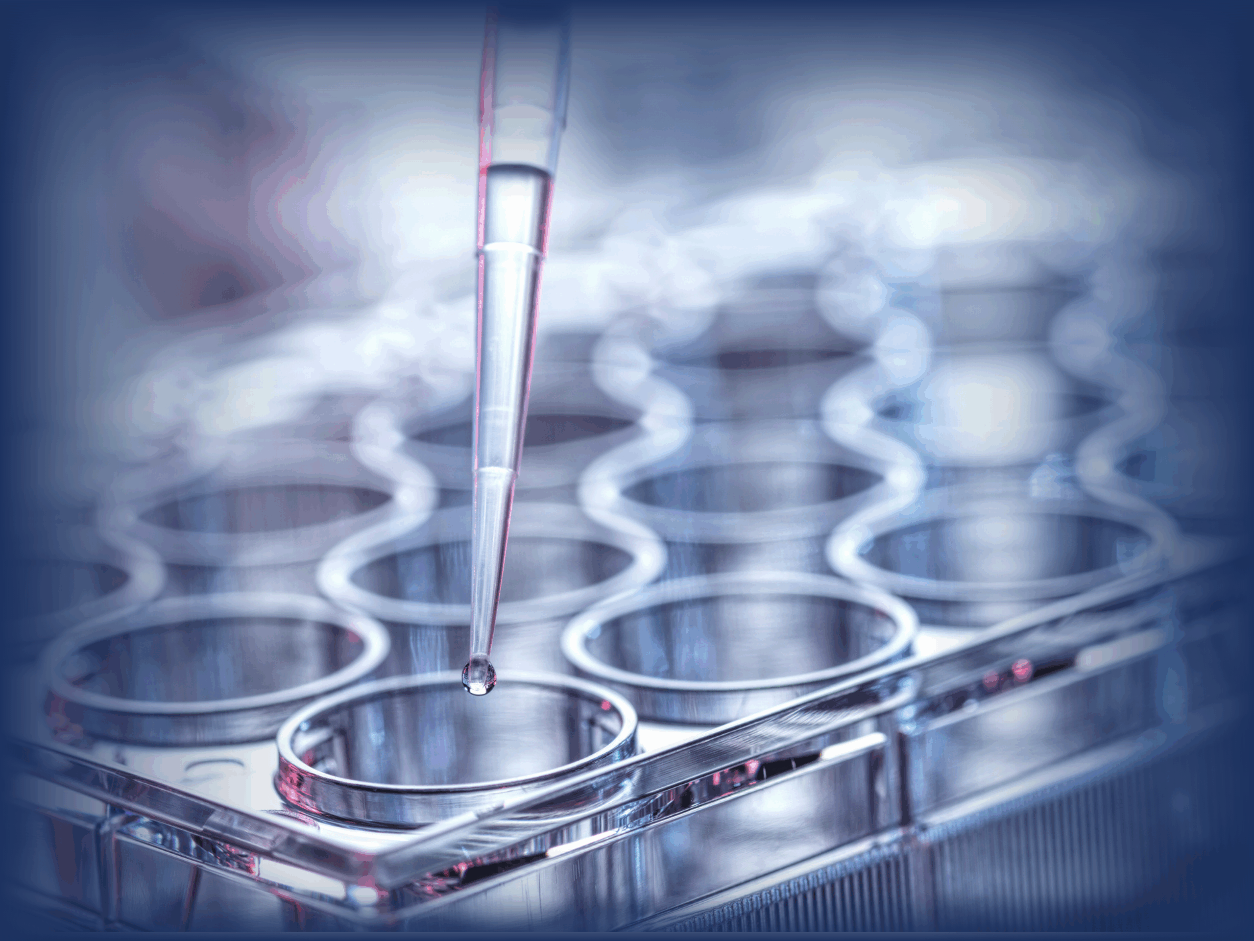 cell line hero
